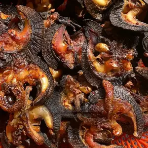 20pcs Large Dry Snails – Clean Well Processed | Local Diaspora