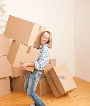 House Relocation Boxes