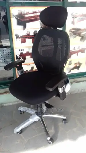 A Unique Executive Mesh Chair