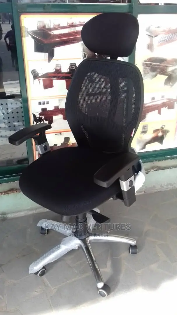 A Unique Executive Mesh Chair