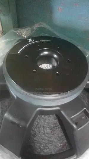 18a4 Professional Naked Speaker (Thick Come)