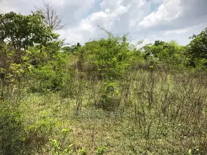 A Plot of Land at Owode Ede Area