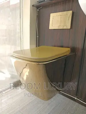 Gold Wall Hung Conceal Toilet