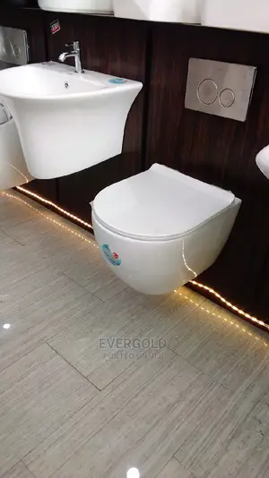 Wall Hung Water Closet and Wall Hung Basin