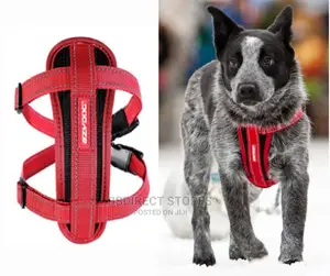 Ezydog RED MEDIUM Chest Plate Harness + Car Seat Restraint