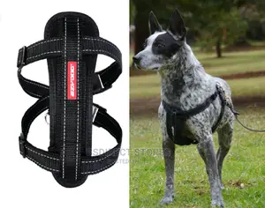 Ezydog BLACK MEDIUM Chest Plate Harness + Car Seat Restraint