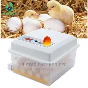 Full Automatic 16 Eggs Brooder Bird Chick Hatchery Incubator