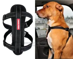 Ezydog BLACK EXTRA LARGE Chest Plate Harness + Car Restraint