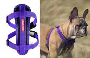 Ezydog PURPLE EXTRA LARGE Chestplate Harness + Car Restraint