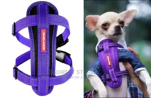 Ezydog PURPLE EXTRA SMALL Chestplate Harness + Car Restraint