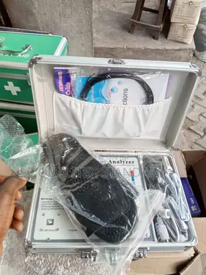 Quantum Analyzer With Massager