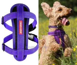 Ezydog PURPLE SMALL Chest Plate Harness + Car Seat Restraint