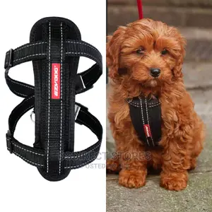 Ezydog BLACK SMALL Chest Plate Harness + Car Seat Restraint