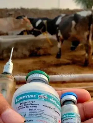 Veterinary Services