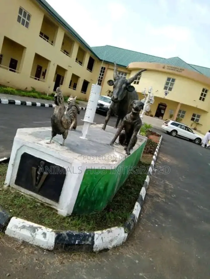 Veterinary Services