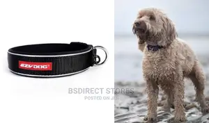 Ezydog BLACK SMALL Neo Classic Collar Strong Reflective