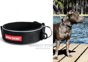 Ezydog MEDIUM BLACK Neo Classic Collar Strong Reflective