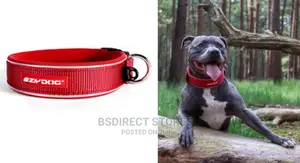 Ezydog LARGE RED Neo Classic Collar Strong Reflective