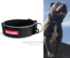 Ezydog BLACK XL Neo Classic Collar Strong Reflective XLARGE