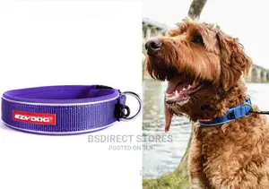 Ezydog PURPLE SMALL Neo Dog Classic Collar Strong Reflective