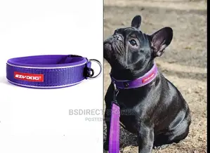 Ezydog PURPLE MEDIUM Neodog Classic Collar Strong Reflective