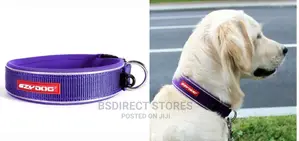 Ezydog PURPLE LARGE Neo Dog Classic Collar Strong Reflective