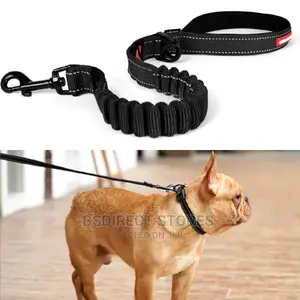 Ezydog BLACK ZERO SHOCK 25" Leash Shock Absorbing Dog Leash