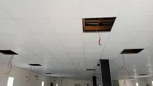 Gypsum Board Suspended Ceiling