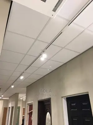 Ceiling Tiles With Grids