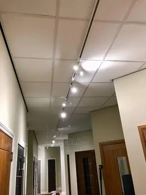 Ceiling Tiles With Grids