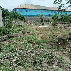 Reciept, Deed of Agreement and Certificate of Occupancy