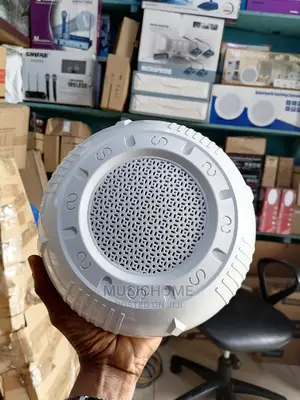 Professional Wall/Decken Mount Ceiling Speaker