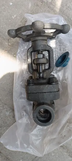 Steam Welded Gate Valve 1/2"