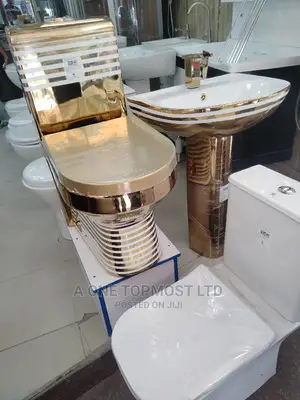 Gold Water System
