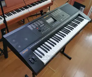 Professional 61 Full Sized Piano Keyboard With Usb Flash