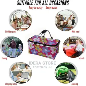 Picnic Lunch Bag