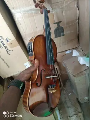 Hallmark Semi Acoustic Violin