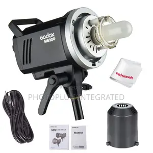 2 Godox MS300 Flash With 2 Big Light Stand