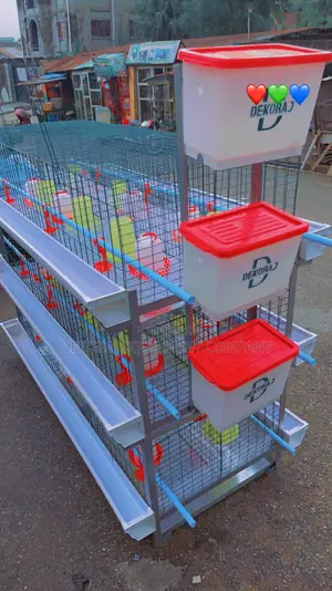Broiler 90 Birds and 120 Layer Rearing Cage
