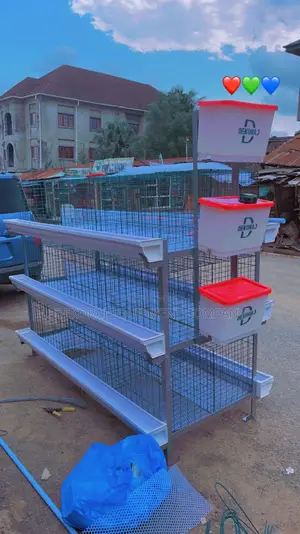 90broiler Empowerment Cage Equipment Manufacturer in Nigeria
