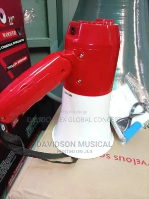 Small Rechargable Megaphone