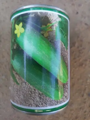 Hybrid Cucumber Seeds.