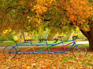 Tandem Bicycle Double Ride- 2 Riders Bicycle for Adults Kid
