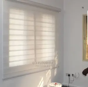 Window Blinds