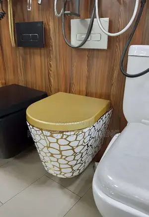 Wall Hung Water Closet