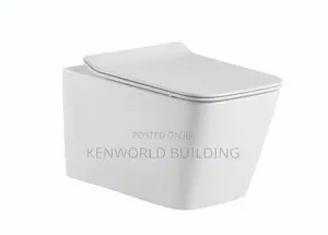 Single Executive Wall Hung Wc