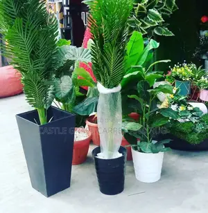 Decorative Flower Fir Hine Design