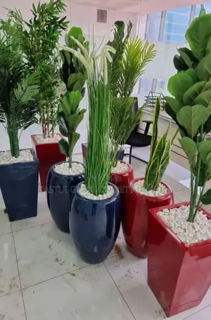 Quality Flower Pots
