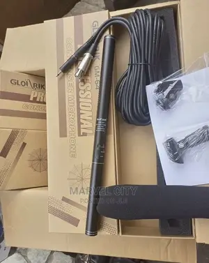 GM-64 Professional Condenser Microphone