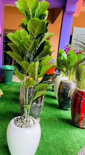 Top Quality Flower for Home Design